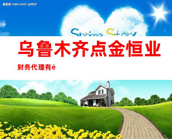 乌鲁木齐点金恒业财务代理有限公司